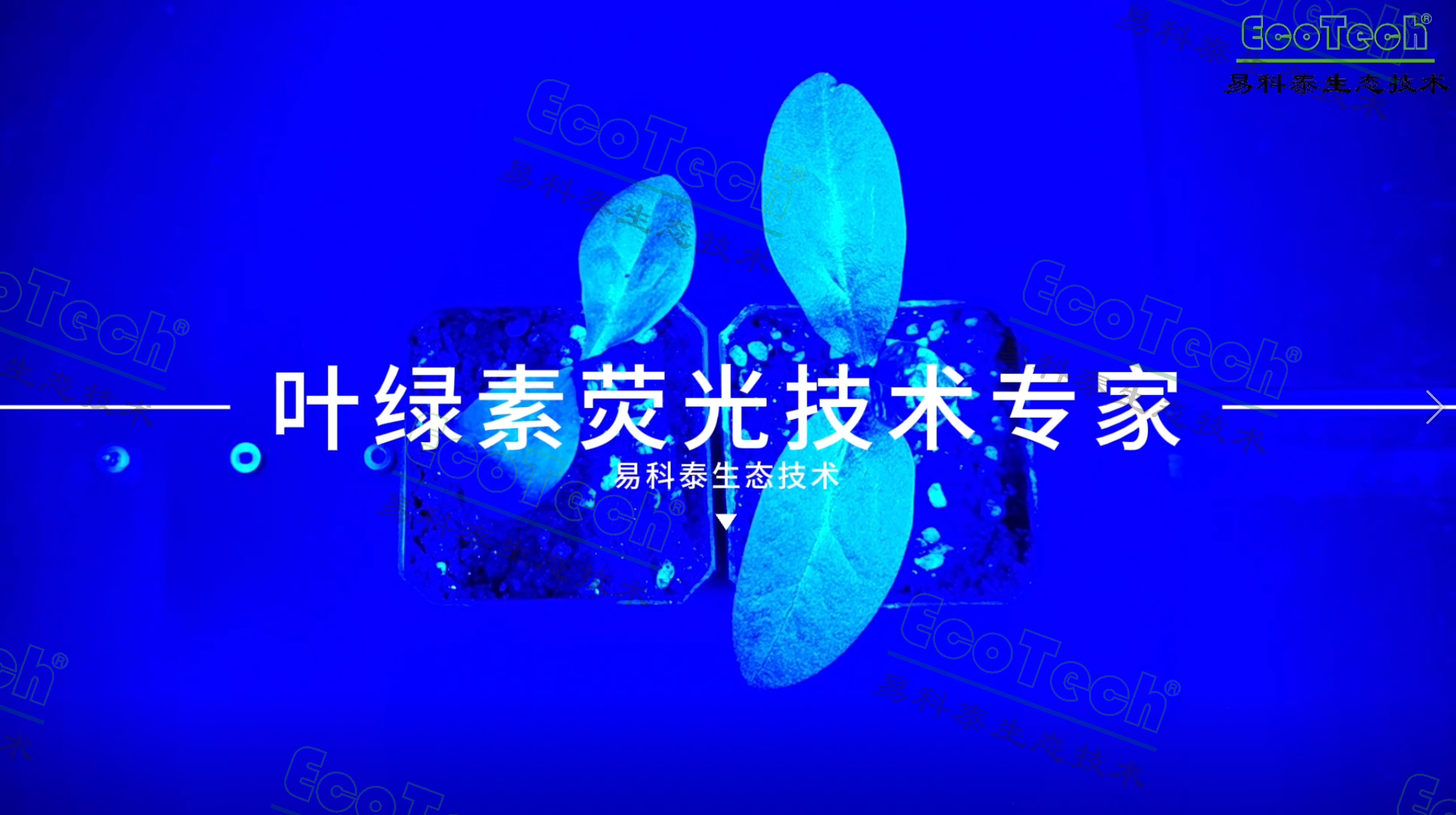 welcome-