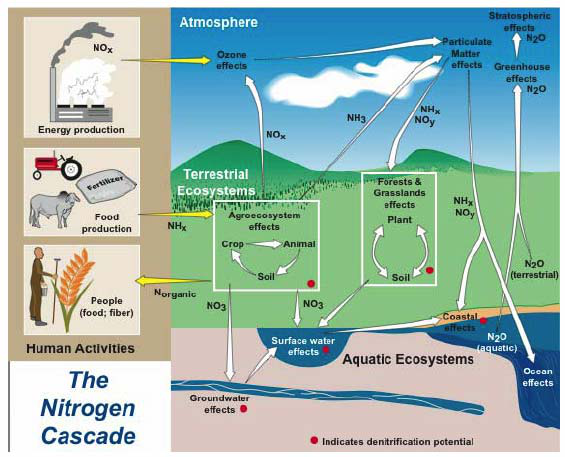 EcoTronӲϵͳ